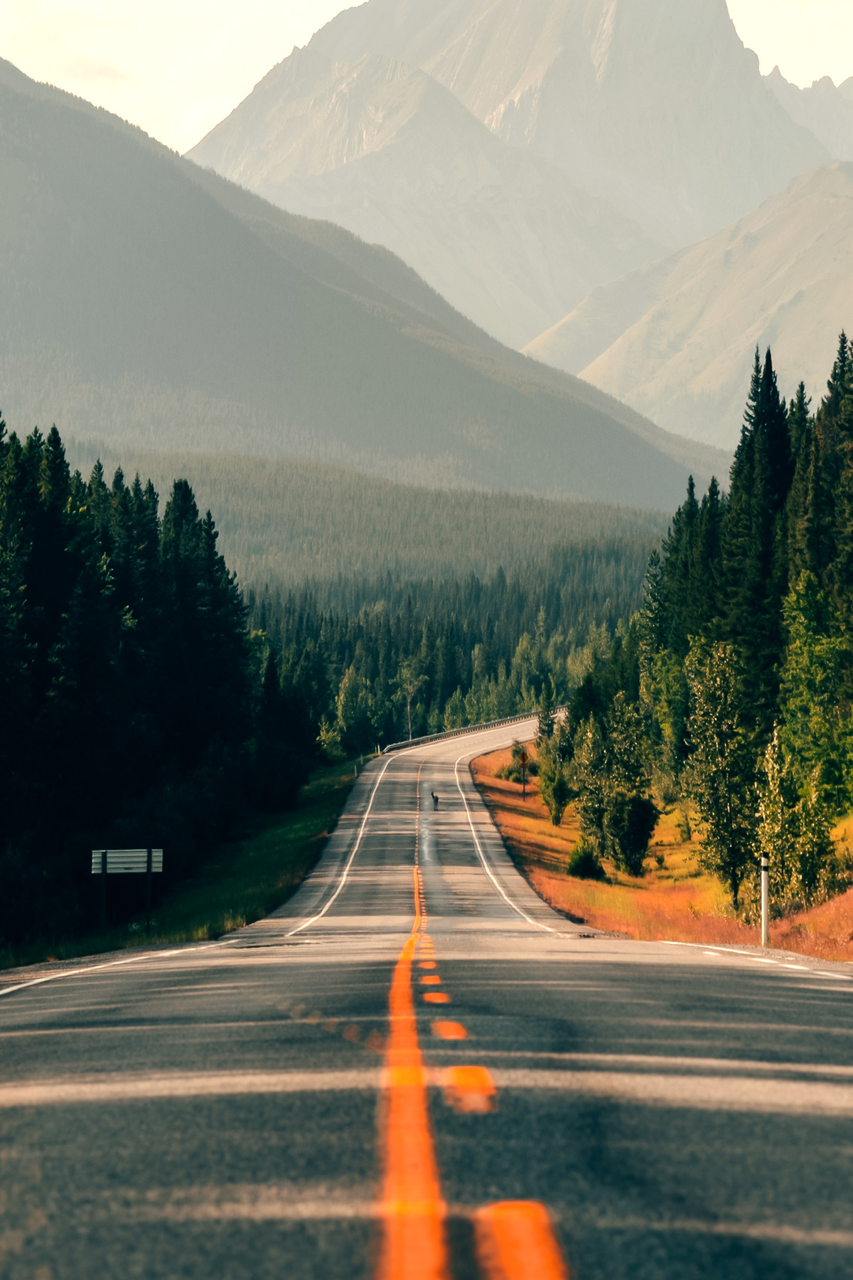 Landscape